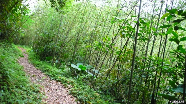 [遊記] 烏來雨中單車越野樂....卡拉莫基步道+哈盆越嶺古道(半程)