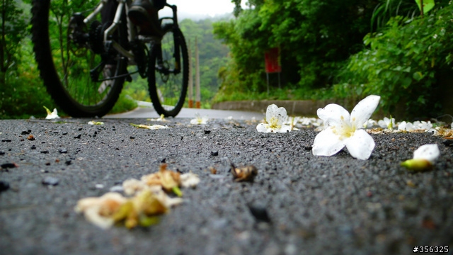 [遊記] 烏來雨中單車越野樂....卡拉莫基步道+哈盆越嶺古道(半程)