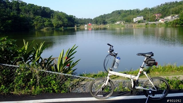 苗栗 三義 銅鑼 油桐花騎跡 (圖多)