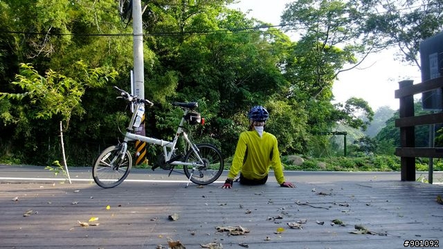 苗栗 三義 銅鑼 油桐花騎跡 (圖多)