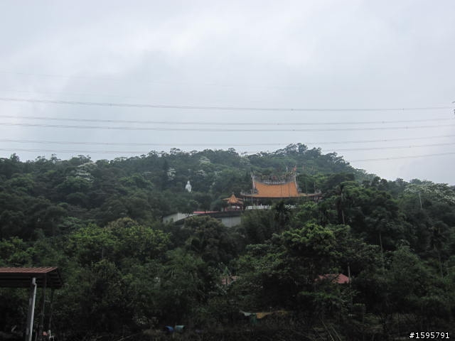 菜鳥單騎迷路記