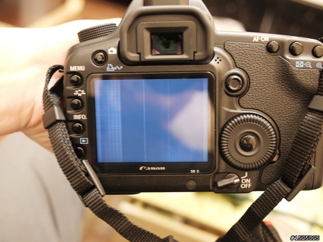 剛買的5D2送修經驗談(右上方上置液晶進塵、LCD雜訊、電池問題)