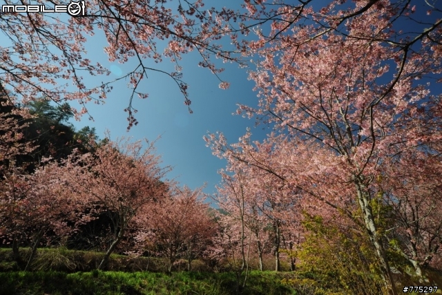 Nikon AF 18-35mm f/3.5-4.5D可以蓋樓嗎??