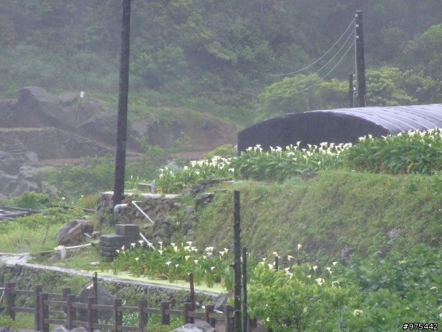 【遊記】一個人的北部慘痛之旅~~~~~~又冷又下雨又累還爆膝