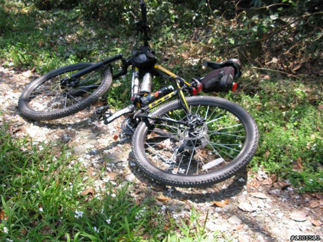 (土撥鼠單車)20100421-五公山 騎+扛車 賞 油桐花記