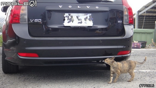 (4/22更新)遲來的開箱文~墾丁春浪陽光沙灘放肆玩XD 我的VOLVO V50 現醜啦(女王加爆乳妹~女王拍的XD) 釋出隱藏版