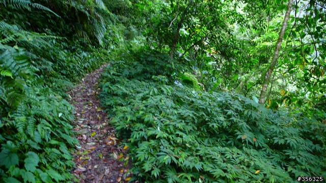 [遊記] 烏來雨中單車越野樂....卡拉莫基步道+哈盆越嶺古道(半程)