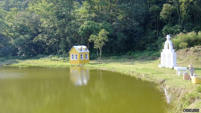 苗栗 三義 銅鑼 油桐花騎跡 (圖多)