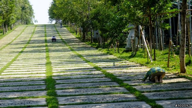苗栗 三義 銅鑼 油桐花騎跡 (圖多)
