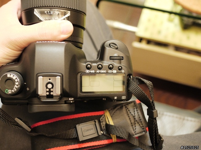 剛買的5D2送修經驗談(右上方上置液晶進塵、LCD雜訊、電池問題)