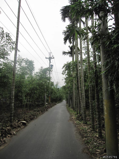 菜鳥單騎迷路記