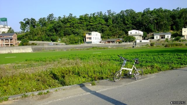 苗栗 三義 銅鑼 油桐花騎跡 (圖多)