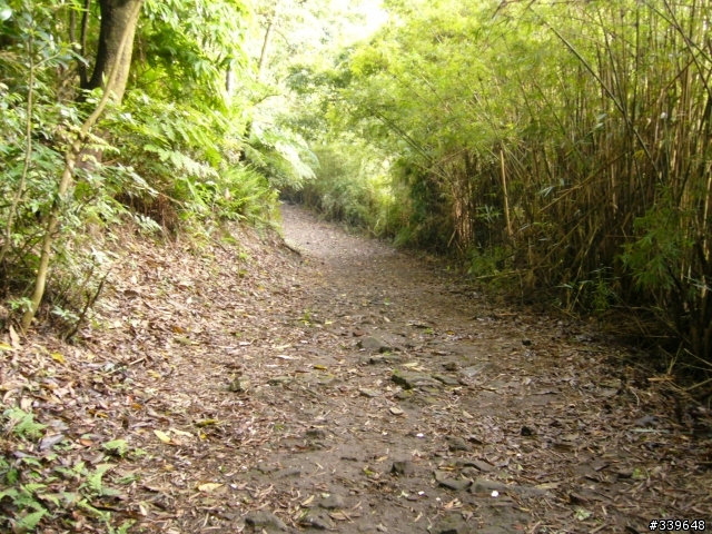 陽明山之橫嶺古道初探險