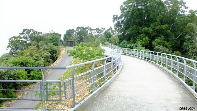 苗栗 三義 銅鑼 油桐花騎跡 (圖多)