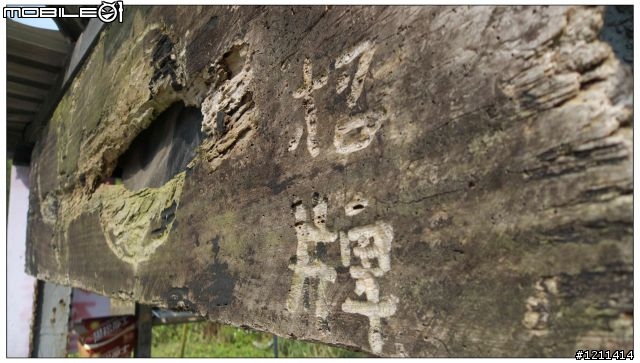 雅痞小摺環島8日，重裝上陣。