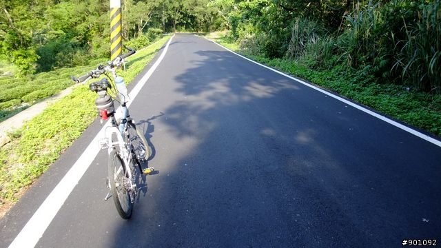 苗栗 三義 銅鑼 油桐花騎跡 (圖多)