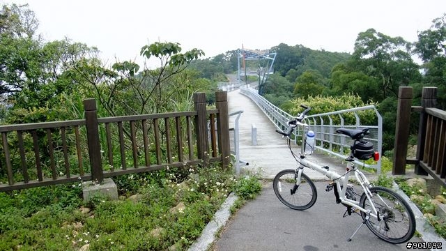 苗栗 三義 銅鑼 油桐花騎跡 (圖多)