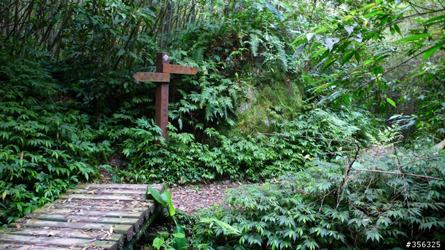 [遊記] 烏來雨中單車越野樂....卡拉莫基步道+哈盆越嶺古道(半程)