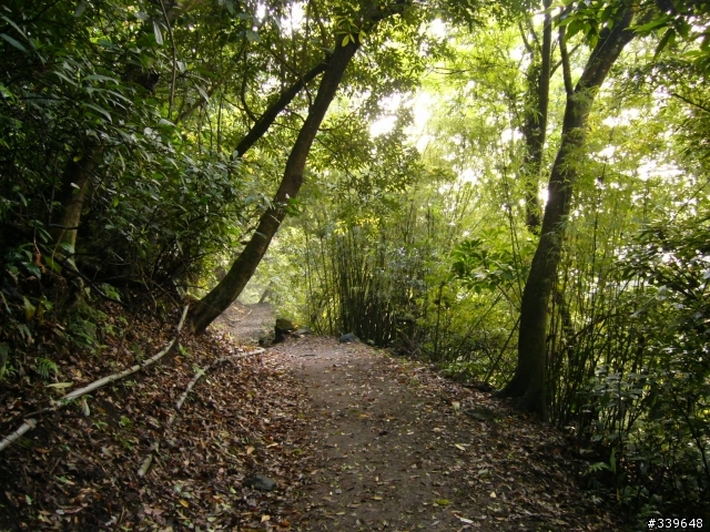陽明山之橫嶺古道初探險