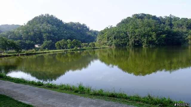 苗栗 三義 銅鑼 油桐花騎跡 (圖多)