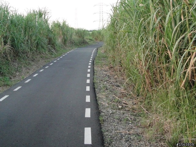 [遊記]路上有烏龜---與女王騎車趣