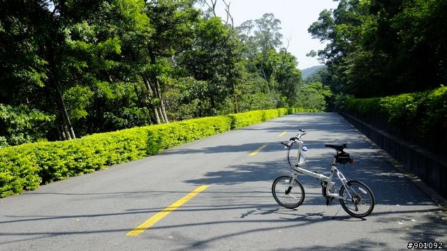 苗栗 三義 銅鑼 油桐花騎跡 (圖多)
