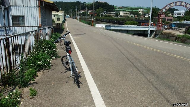 苗栗 三義 銅鑼 油桐花騎跡 (圖多)