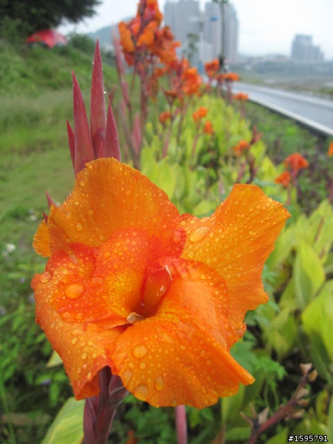 菜鳥單騎迷路記