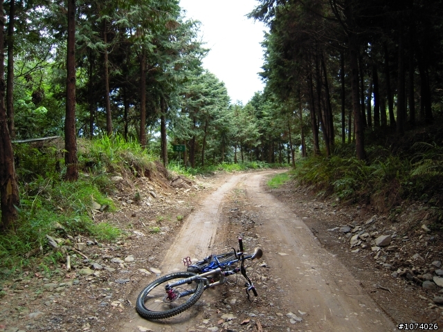 小關山林道18K後路況