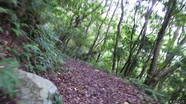 [遊記] 烏來雨中單車越野樂....卡拉莫基步道+哈盆越嶺古道(半程)