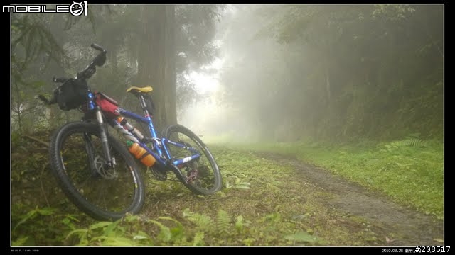 羅山林道