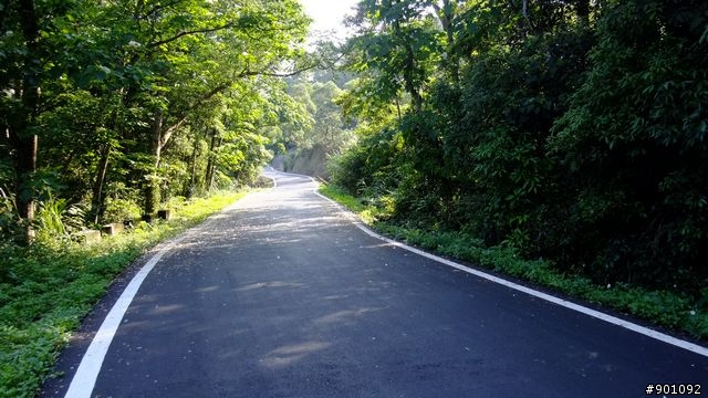苗栗 三義 銅鑼 油桐花騎跡 (圖多)