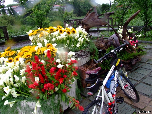 【遊記】一個人的北部慘痛之旅~~~~~~又冷又下雨又累還爆膝