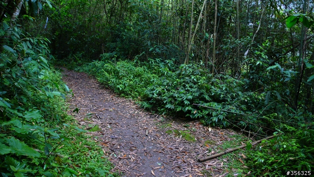 [遊記] 烏來雨中單車越野樂....卡拉莫基步道+哈盆越嶺古道(半程)