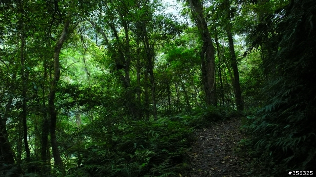 [遊記] 烏來雨中單車越野樂....卡拉莫基步道+哈盆越嶺古道(半程)