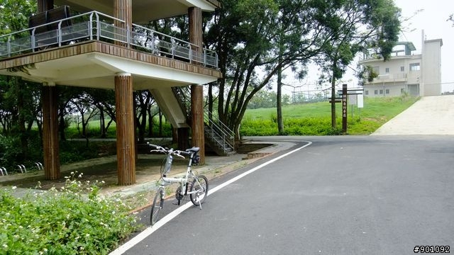 苗栗 三義 銅鑼 油桐花騎跡 (圖多)