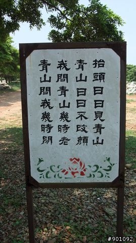 苗栗 三義 銅鑼 油桐花騎跡 (圖多)