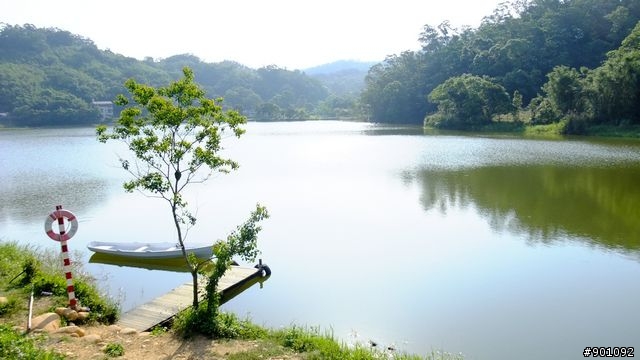 苗栗 三義 銅鑼 油桐花騎跡 (圖多)