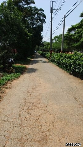苗栗 三義 銅鑼 油桐花騎跡 (圖多)