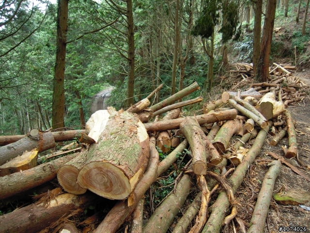 小關山林道18K後路況