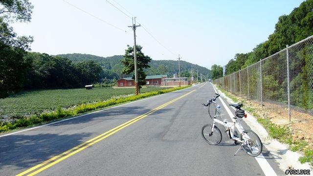 苗栗 三義 銅鑼 油桐花騎跡 (圖多)