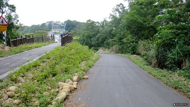 苗栗 三義 銅鑼 油桐花騎跡 (圖多)