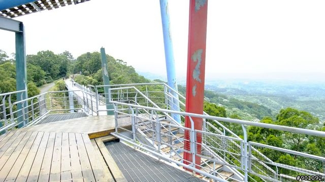 苗栗 三義 銅鑼 油桐花騎跡 (圖多)