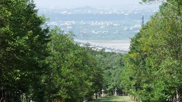 苗栗 三義 銅鑼 油桐花騎跡 (圖多)