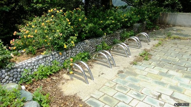 苗栗 三義 銅鑼 油桐花騎跡 (圖多)
