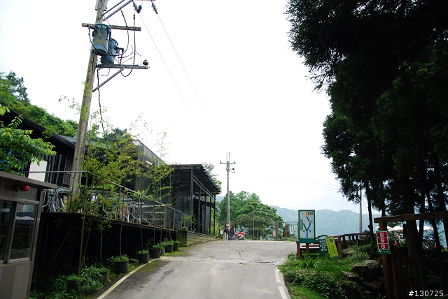 [三峽]桐花來了竹崙路+三層坪+熊空休閒農場