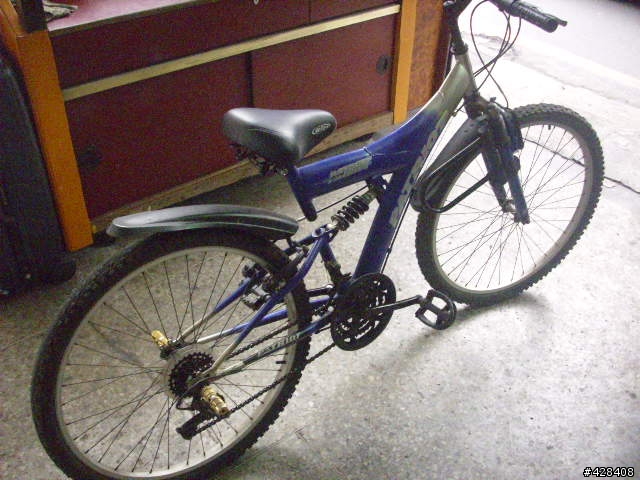 請大家幫我看一下這台是登山車還是上坡車?