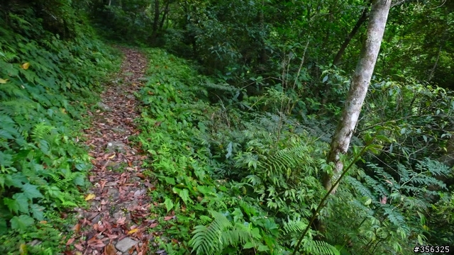 [遊記] 烏來雨中單車越野樂....卡拉莫基步道+哈盆越嶺古道(半程)