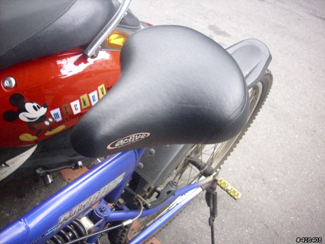 請大家幫我看一下這台是登山車還是上坡車?