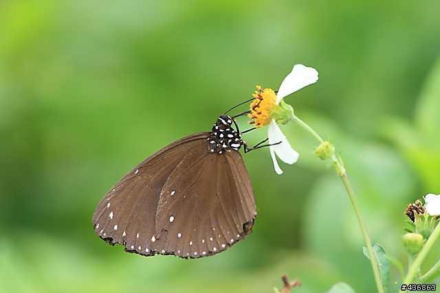 千年傳統．全新感受 ── 重新發現小小黑 EF 70-300mm F4-5.6 IS USM